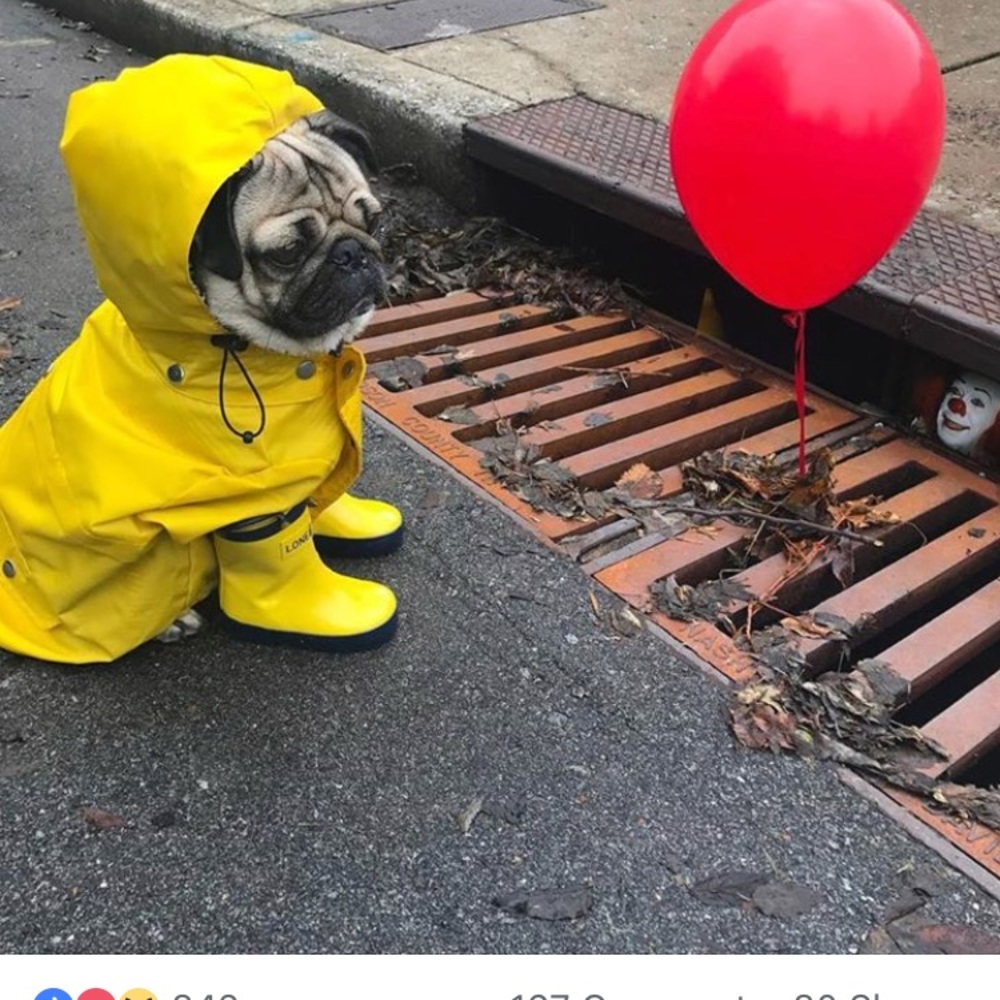 Meet your Posher, Michelle